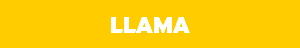 llama